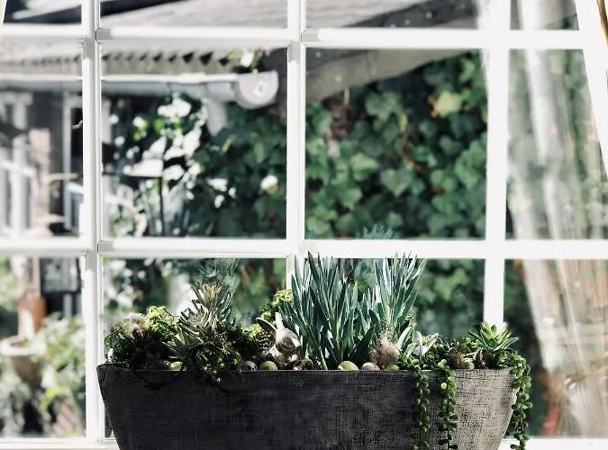 Breidenbacher Hof Hotel